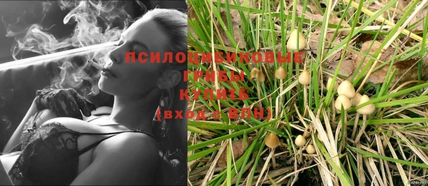 прущая мука Бронницы