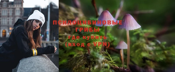 бутират Богданович