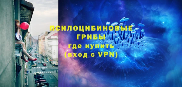 бошки Богородицк