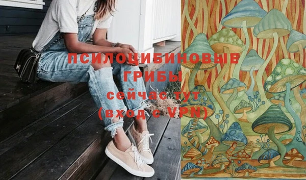 бутират Бородино