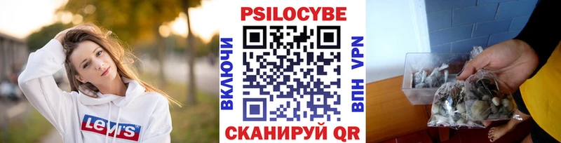 Псилоцибиновые грибы мухоморы  Киселёвск 